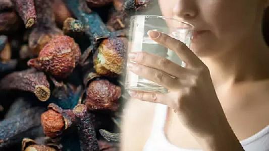 Hemoroid, diş əti, ürək və mədə xəstəliklərinə