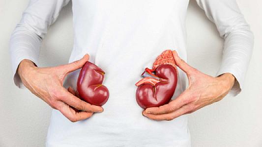 Həkim böyrəklərin vəziyyətini yoxlamaq üçün