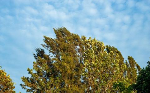 Sabahkı küləkli hava şəraiti ilə bağlı