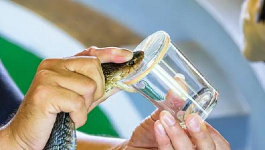 17 il özünə ilan zəhəri inyeksiya etdi –