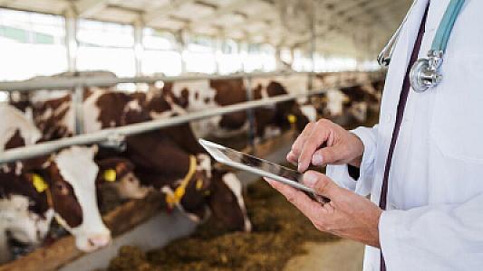 Baytarlıq dərmanları istehsalı obyektlərinin qeydiyyatını dövlət