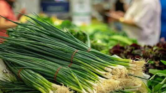 Faydasını eşidən qoxusuna