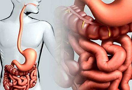 Bağırsaqları ziyanlı maddələrdən təmizləmək üçün