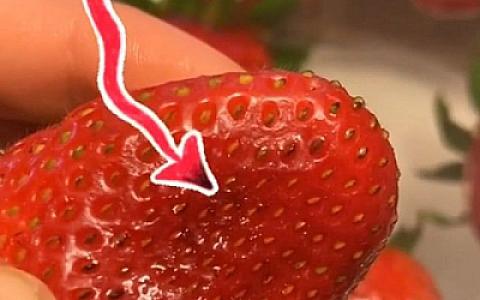 Çiyələyi gözlə görünməyən qurdlardan təmizləmək üçün