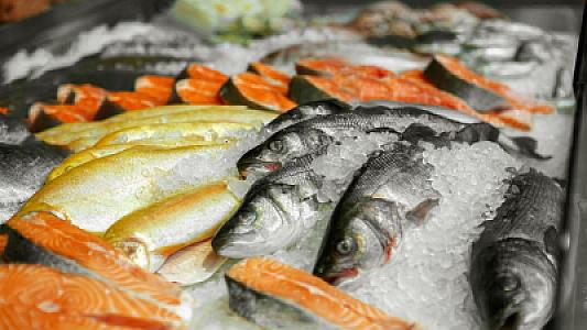 Ən çox parazit olan balıq növləri açıqlandı -