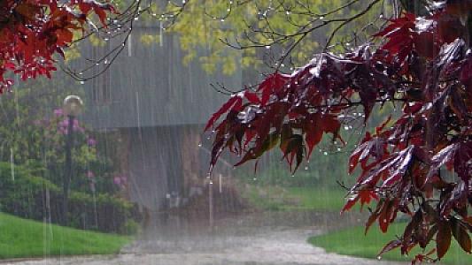 Sabah leysan yağacaq, şimşək çaxacaq,