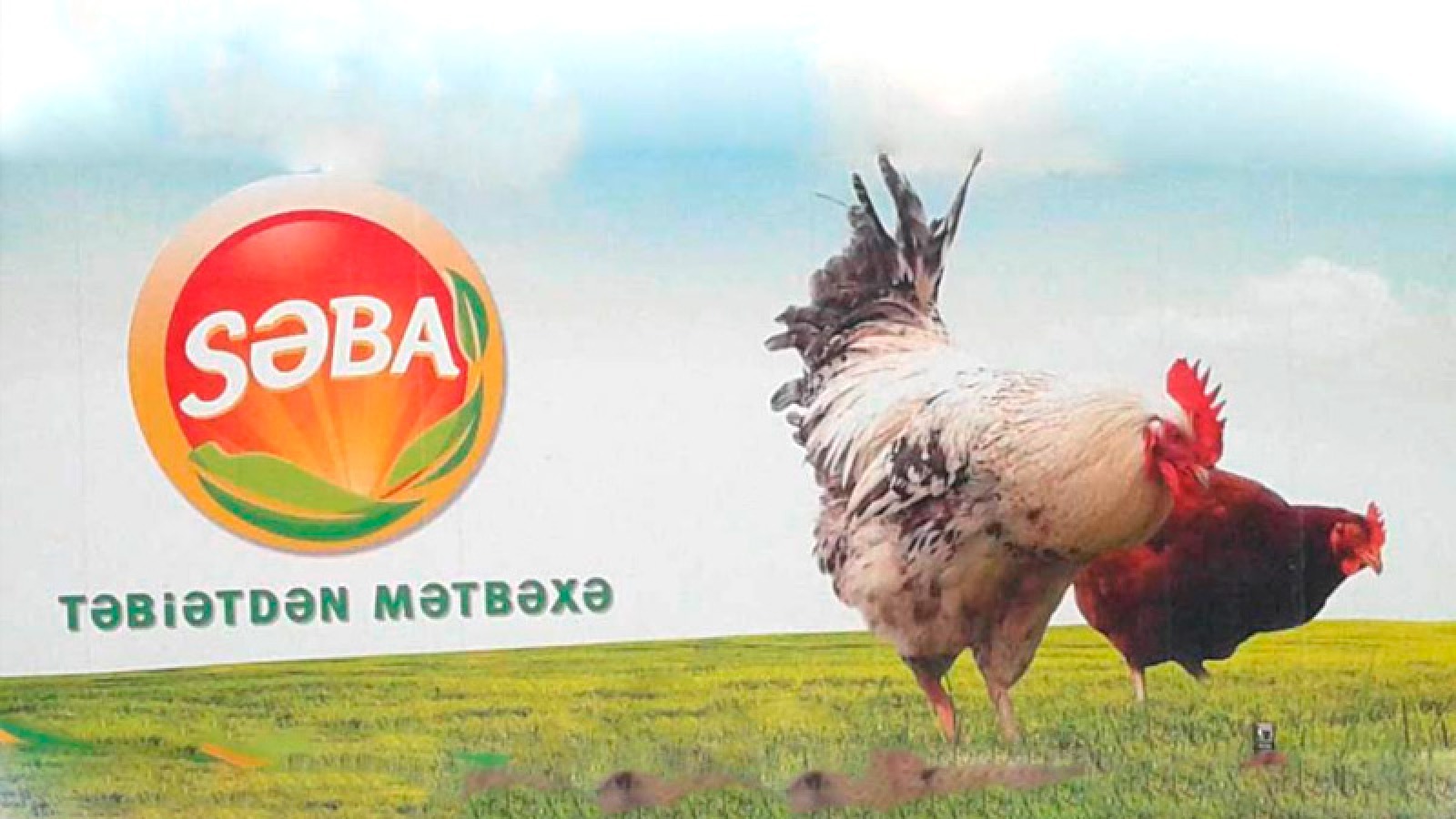 “Səba” külli miqdarda borc içində -