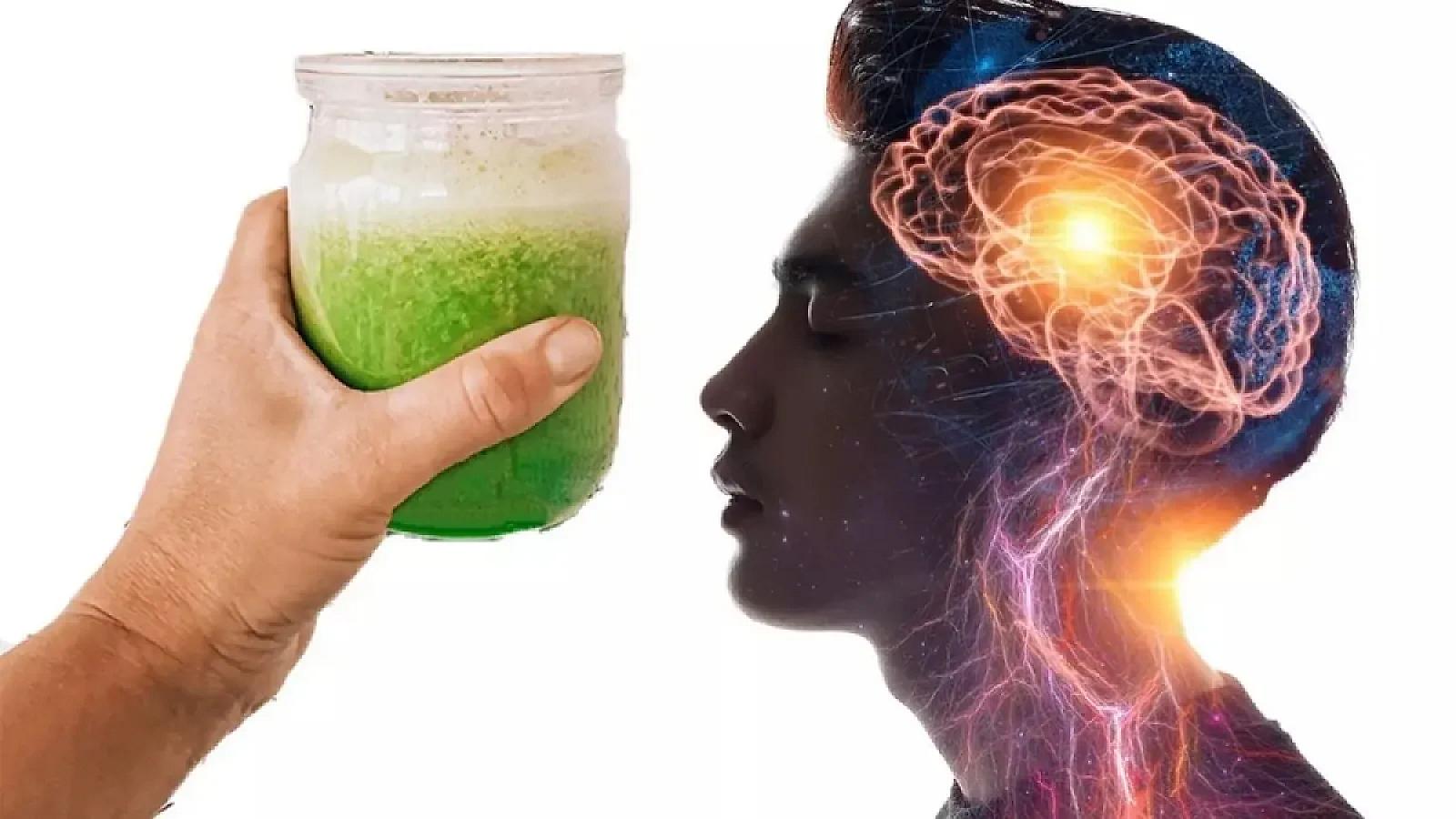 Zehni gücləndirir, IQ-nu artırır: Harvardlı mütəxəssisdən yaddaşı