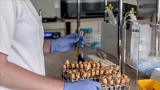 Diqqət: Bu qan qrupunda Alzheimer riski