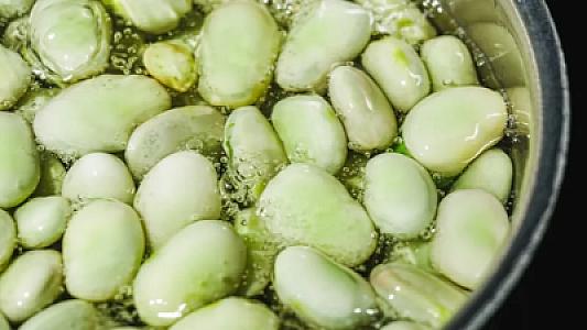 Mütəxəssis bu xəstələrə “lobya” ilə bağlı