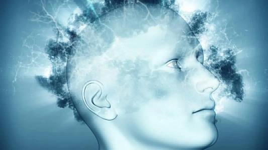 Hər gün yeyirsiniz,