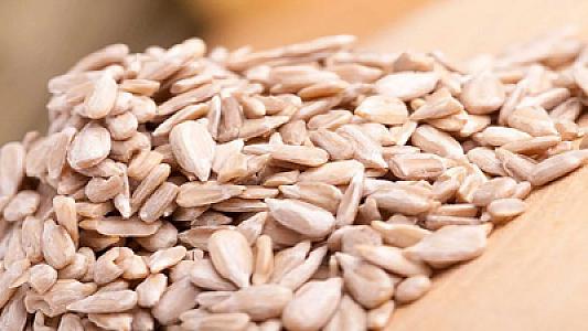 Hüceyrələri yeniləyir, stressi azaldır –