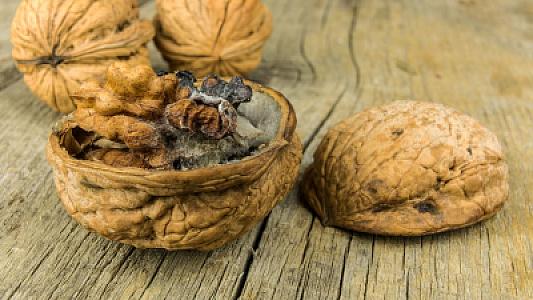 Kifləndikdən sonra hansı qidaları yemək olar? -