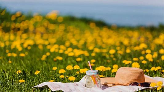 İstirahətə gedəndə bu rəng paltar geyinməyin! -