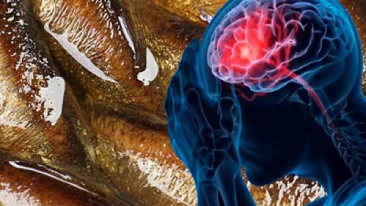 Yaddaşı gücləndirən 5 qida: