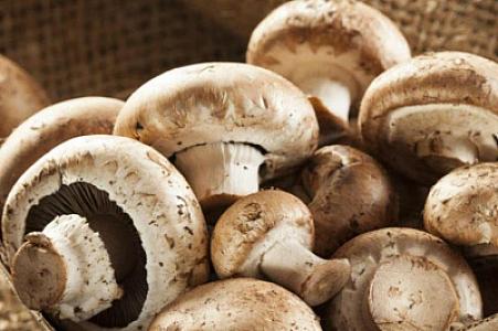 Bu şəxslərin göbələk yeməsi