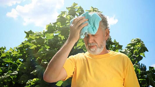 İsti havada yorğunluq hansı xəstəliyə