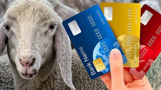 Kreditlə qurbanlıq heyvan