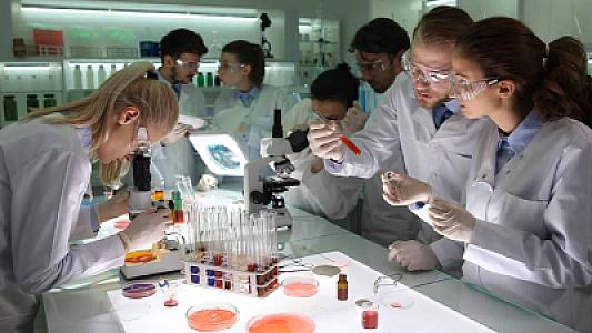 Alimlər deyirlər ki, bu giləmeyvəni yemək