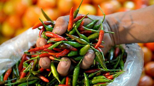 Acı bibəri belə yemək xərçəngə səbəb ola bilər -