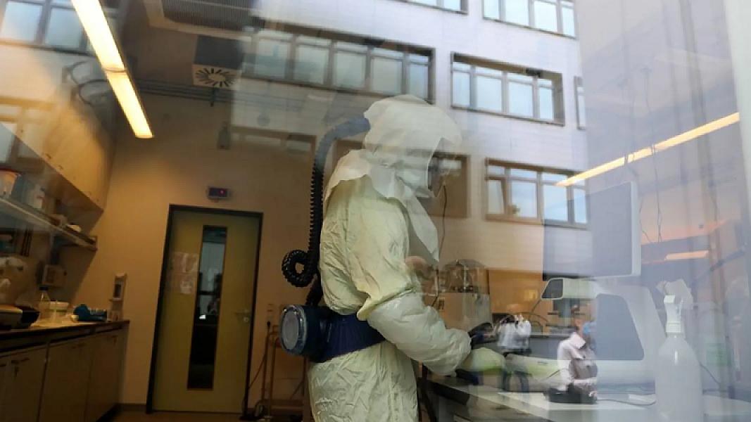 Alimlər radiasiyaya qarşı "görünməz qalxan"