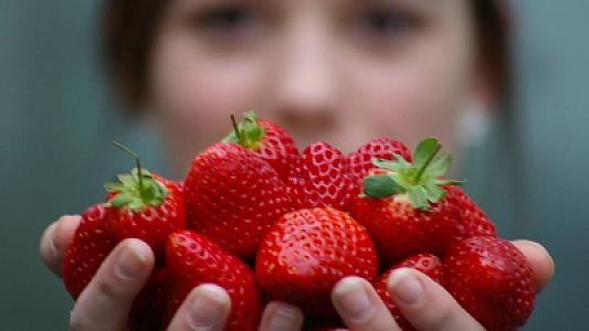 Çiyələyi nə qədər yemək olar? -