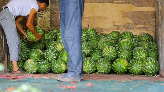 Fermer tərəvəzlərə verilən kimyəvi gübrələrdən