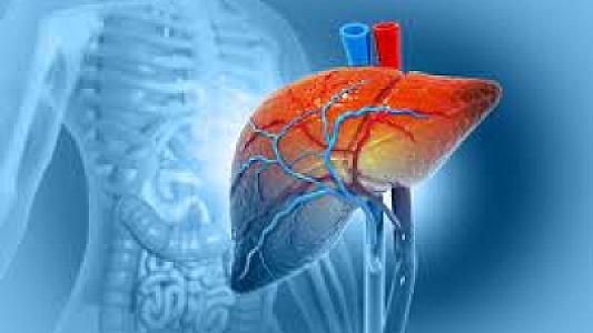 Həkim qaraciyər funksiyasının pozulmasının