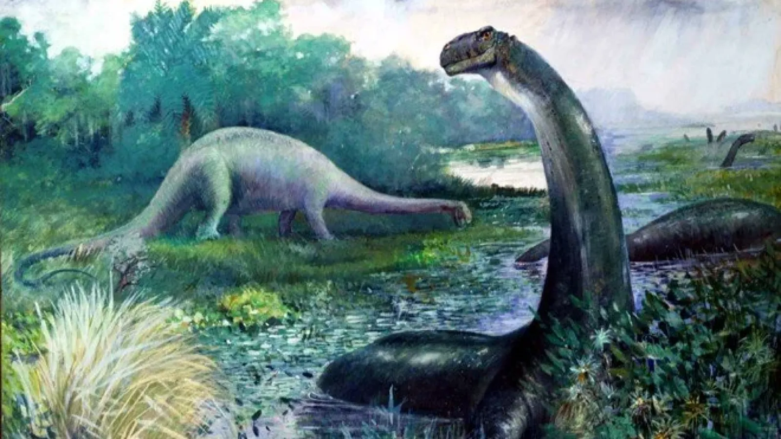 Alimlər dinozavrda insanlarda rast gəlinən