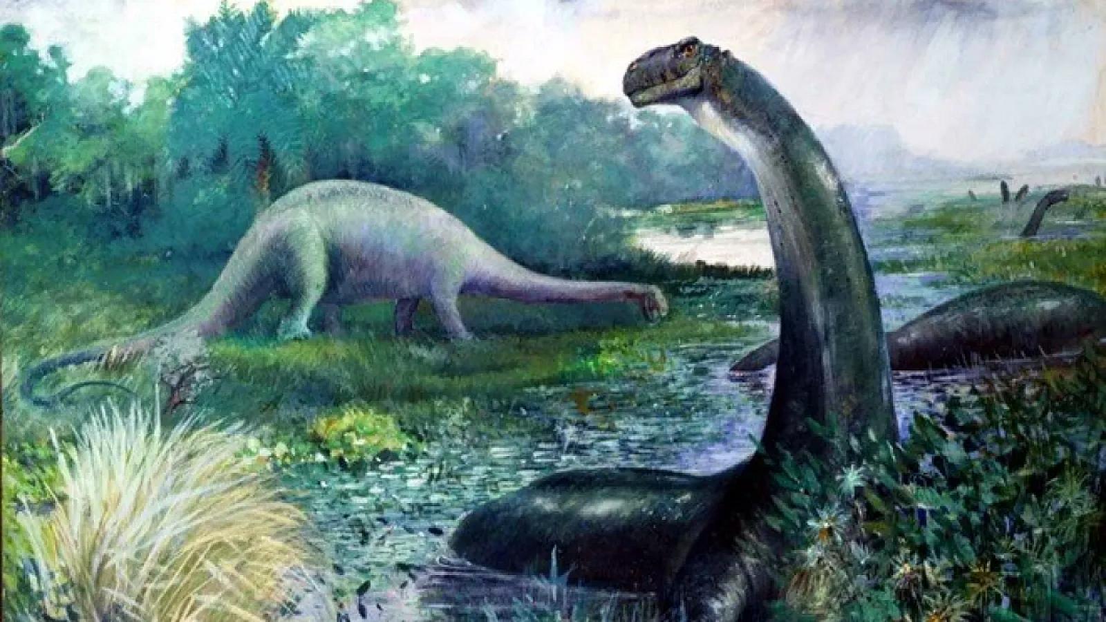 Alimlər dinozavrda insanlarda rast gəlinən