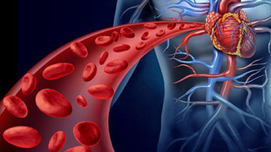 Qanı toksinlərdən təmizləyən