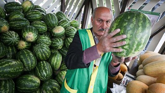 Təhlükəsiz qarpızlar nə vaxt satışa çıxarılacaq?