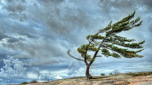 Bayram günlərində güclü külək -