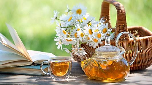 Çobanyastığının