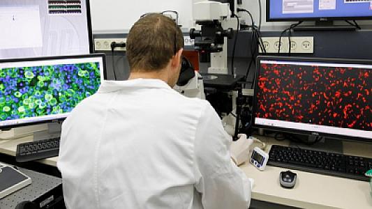 Miokard infarktı riskini göstərən mühüm