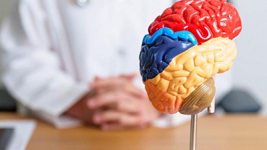 İnsan beyninin əqli yorğunluğa necə reaksiya verdiyi