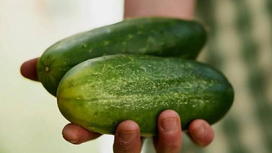 Bəzi xiyarlar niyə