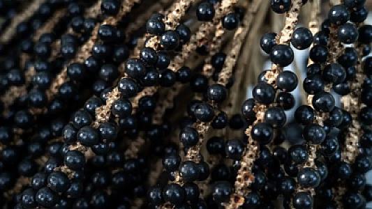 Böyrək sağlamlığı üçün böyük fərq yaradan