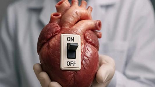 Alimlər ürəkdə “aç/bağla” açarı aşkar etdilər –