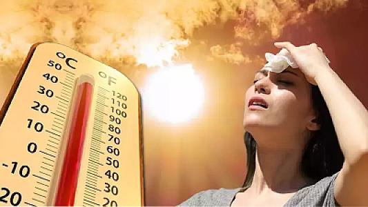 Yayın istisində sərinlənməyin ən təbii yolu: