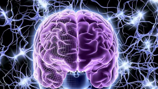 Alimlər “gülümsəmə refleksi” ilə bağlı