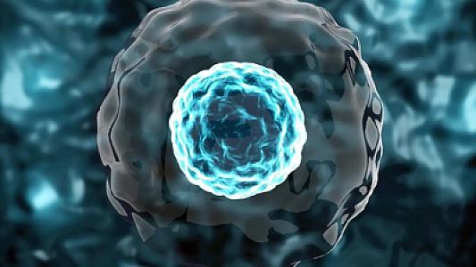 Elmdə yüksək sıçrayış: