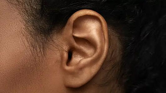 Qulaqdakı mikroskopik tükcüklər yaddaşla bağlı imiş –