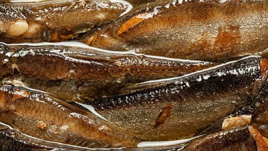 Təbiətin aspirini: Həftədə 2 porsiya yemək