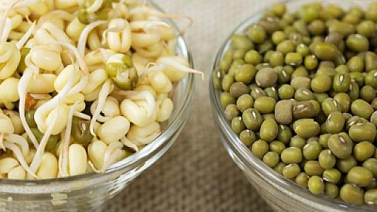 Paxlalı qidalara bunu əlavə edin -