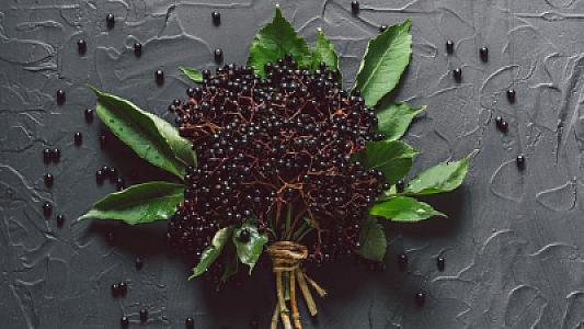 Elderberry (qara mürvər): faydaları nələrdir və niyə hər gün yemək