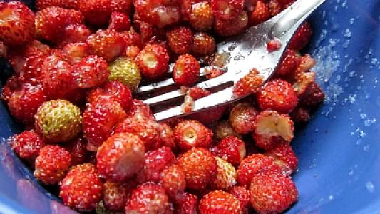 Bağırsaqlar üçün 7 ən faydalı qida: