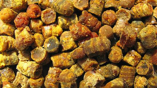 Əvvəl zibil kimi atırdıq, indi kiloqramı