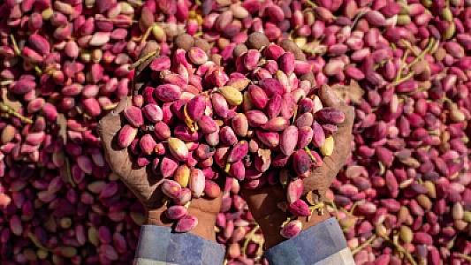 Qaraciyərin bərpasına kömək edir: