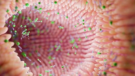 Nə avokado, nə də ərik: Bağırsaq üçün